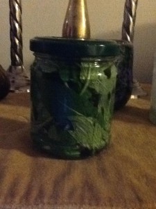 Making mouthwash from a 16th c. recipe